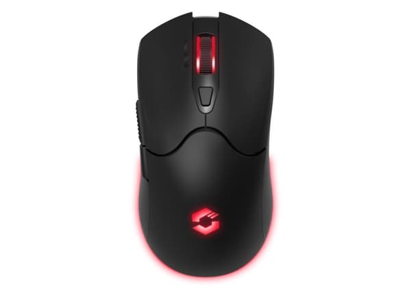 SPEEDLINK SL-680102-BK, USB typ A, 4800 dpi, sortera