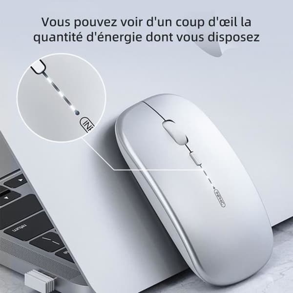 TD Wireless Mouse 2.4G Bluetooth 5.0 4.0 Tre lägen Elektrisk skärm Slå på ljudet Uppladdningsbar mus Kontorsmus för spel