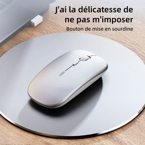 TD Wireless Mouse 2.4G Bluetooth 5.0 4.0 Tre lägen Elektrisk skärm Slå på ljudet Uppladdningsbar mus Kontorsmus för spel