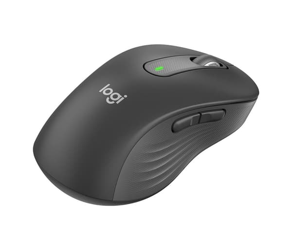 Logitech Signature M650 L - mousse - stor