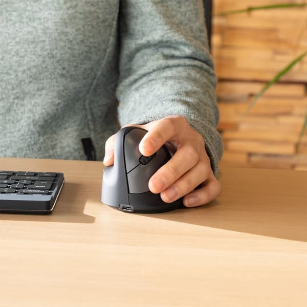 R-Go Pele HE ergonomisk mus vänster Bluetooth stor svart/silver detaljhandel
