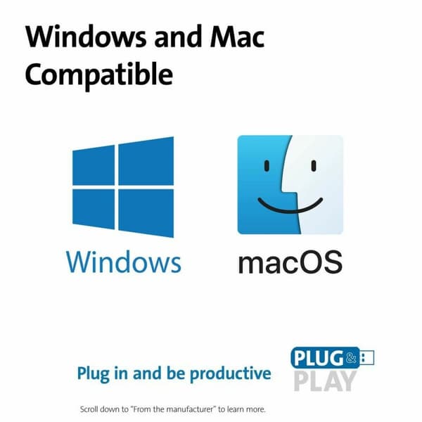 Mus Kensington K72359WW (Renoverade C)