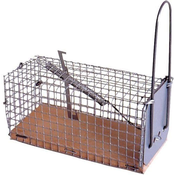 CAUSSADE CASNASSB Bulk Rat Swatter - Cau
