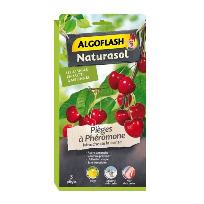 ALGOFLASH NATURASOL Kirsebærflue-feromonfælder - 3 fælder