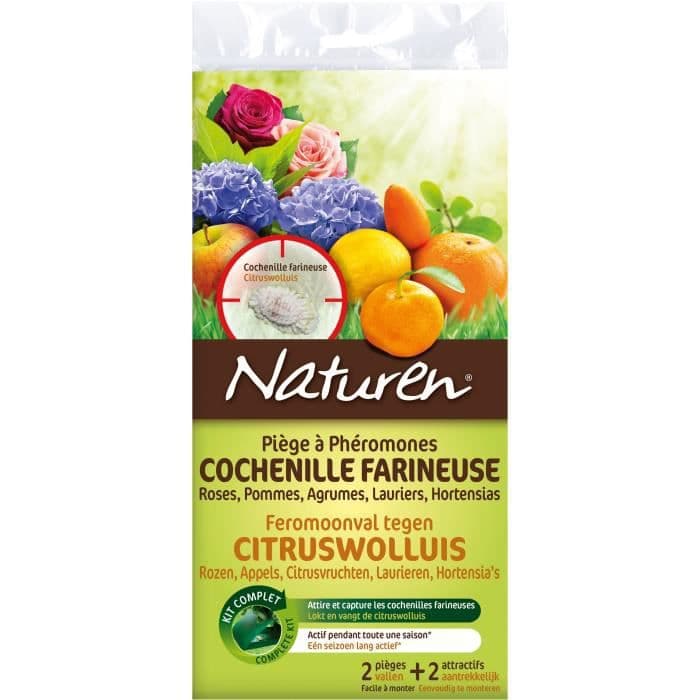 NATUREN 2 Feromon-fælder - Meally hvidblomst