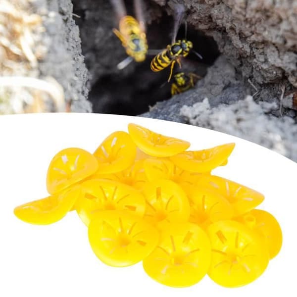 Cuque getingfångare 30 st bifällor Återanvändbar bifångare Blomform tratt biodlingstillbehör
