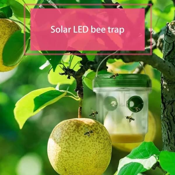 LED Solar Flugfälla Insektsfälla Drosophila Fruktfluga Geting Insektsmedel Trädgårdsparksensorverktyg
