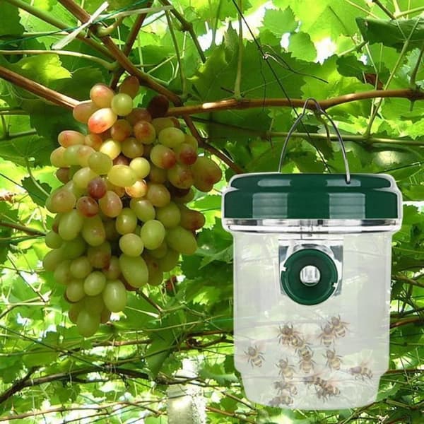 LED Solar Flugfälla Insektsfälla Drosophila Fruktfluga Geting Insektsmedel Trädgårdsparksensorverktyg