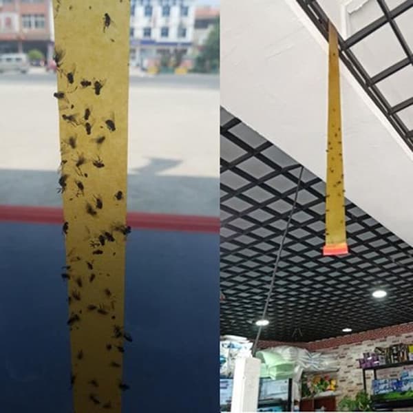 Skadedjursfälla, 4 st Dubbelsidiga flugtejper Insektsfluga pappersremsor Hushållslim flugfälla [F814886485]