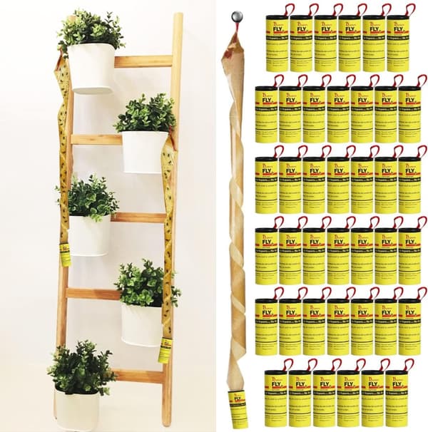 INF Hyönteisten liimalevyt 20-pack