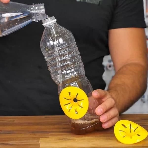 Pack med 6 Fällor, Bålgetingar, Flugor och Flygande Insekter Ekologisk DIY för Plastflaskor