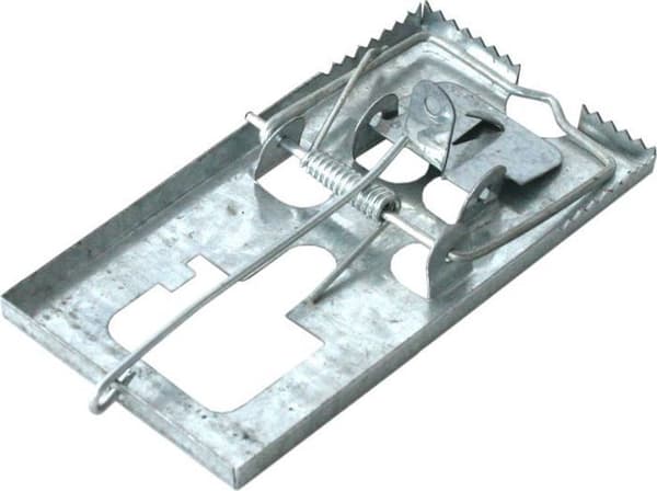 Fälla för skadedjur - bur för skadedjur Bros Fälla för råttor i metall