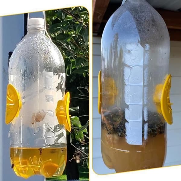 Fälla för asiatisk geting, mikrogeting, getingfälla för att fånga bin, insektsfälla i plast för fälla av skadedjur i huset.