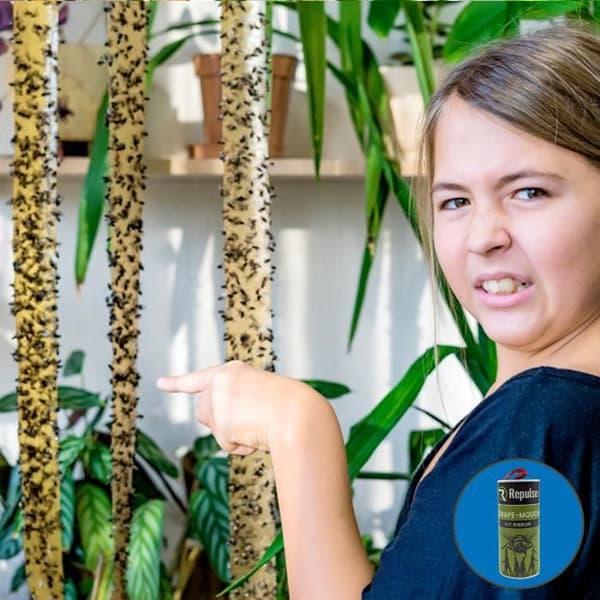 Repulseo® Flugfångarbånd [Tillverkat i EU], Inomhusflugpapper, Klistermussefälla, Alternativ till flugsmällare