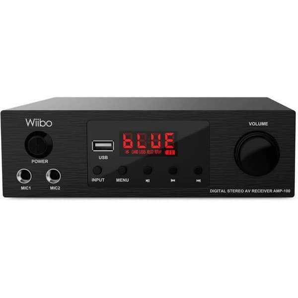 Bluetooth-förstärkare - Wiibo - 100W - USB - Mikrofon - MP3-spelare - FM-radio