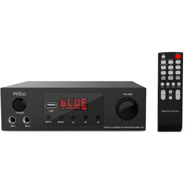 Bluetooth-förstärkare - Wiibo - 100W - USB - Mikrofon - MP3-spelare - FM-radio