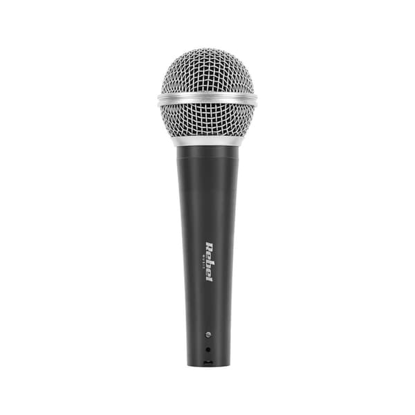 DM-80 mikrofon