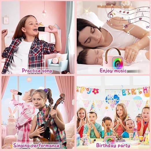 Bärbar Bluetooth Karaoke-högtalare med 1 trådlös mikrofon