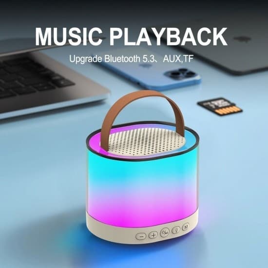 Bärbar Bluetooth Karaoke-högtalare med 2 trådlös mikrofon