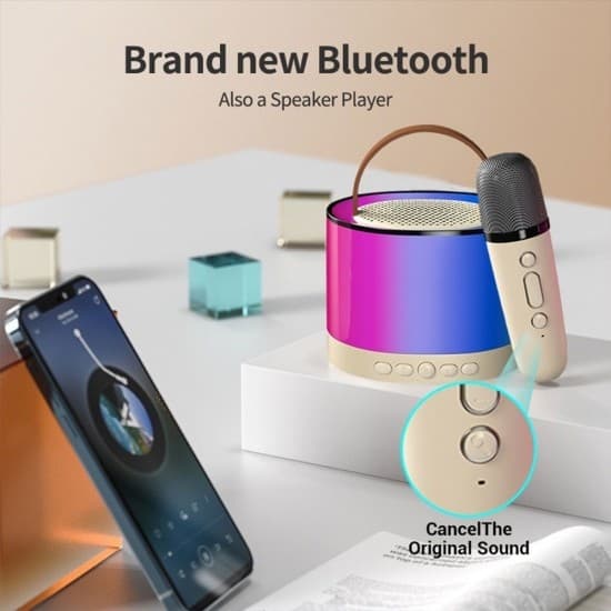 Bärbar Bluetooth Karaoke-högtalare med 2 trådlös mikrofon