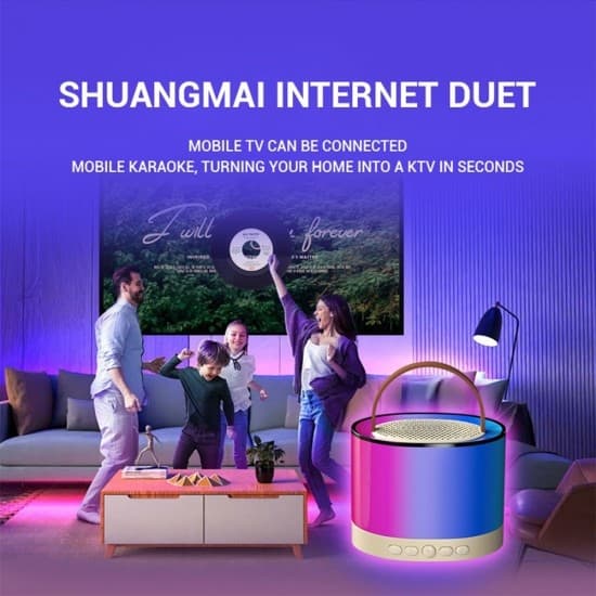 Bärbar Bluetooth Karaoke-högtalare med 2 trådlös mikrofon