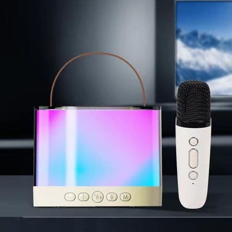 Bärbar Bluetooth Karaoke-högtalare med 2 trådlös mikrofon