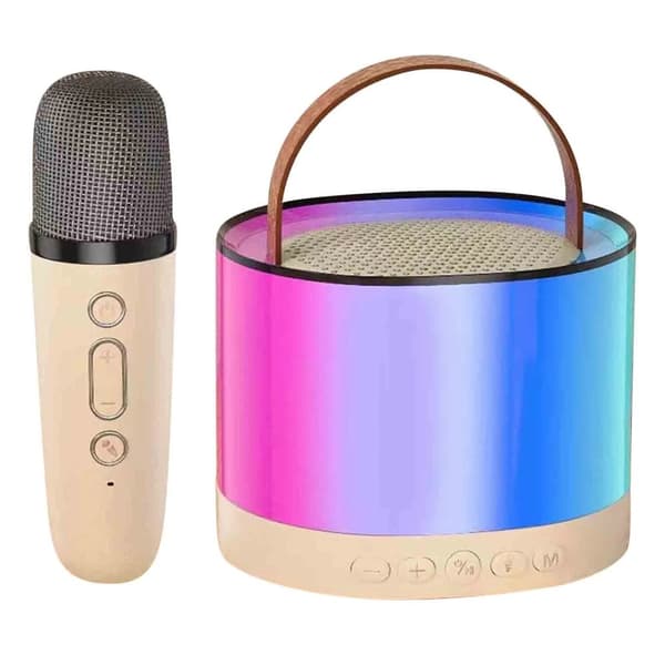 Bärbar Bluetooth Karaoke-högtalare med 2 trådlös mikrofon
