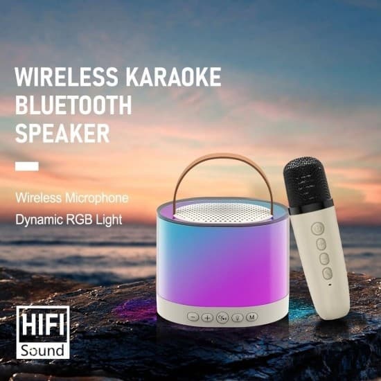 Bärbar Bluetooth Karaoke-högtalare med 2 trådlös mikrofon