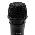 Miniatyrbild 2 av 9: KARAOKE MIKROFONSET VOCALDUO 2.4G SQ1007