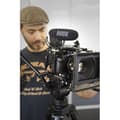Miniatyrbild 5 av 5: RODE Kompakt mikrofon VideoMicPro R - För kamera och digitalkamera