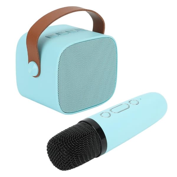 Bärbar Bluetooth Karaoke-högtalare med 1 trådlös mikrofon