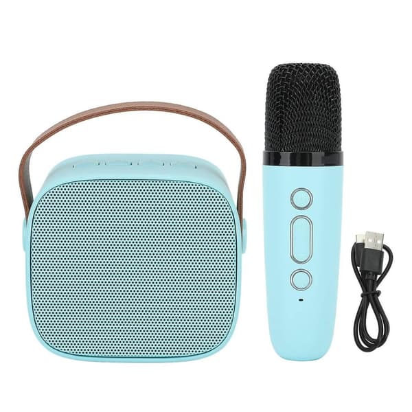 Bärbar Bluetooth Karaoke-högtalare med 1 trådlös mikrofon