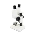 Miniatyrbild 3 av 4: Celestron 44207 Labs CL-S20 stereomikroskop - 44207-CGL