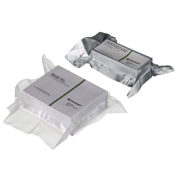 Bresser objektglas - 5916100 - Set med 50 färdiga objektglas med Boro 3.3 glas