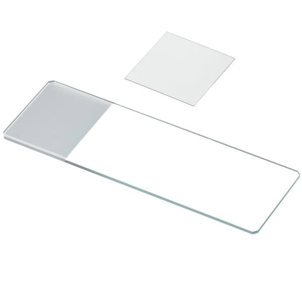 Bresser objektglas - 5916100 - Set med 50 färdiga objektglas med Boro 3.3 glas