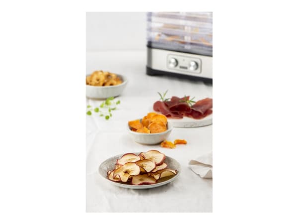 FRITEL Family DH 2025 - Livsmedelstork - 250 W - silver/grå