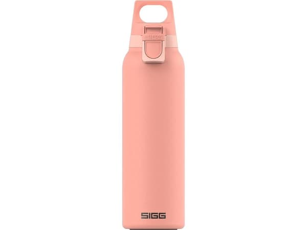 SIGG 8997.90, 0,55 l, Rosa, Rostfritt stål, 13 h, 30 h, Plast