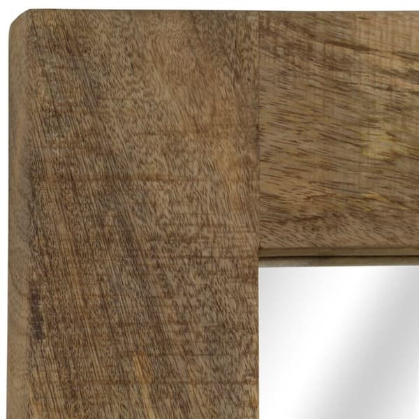 vidaXL Speil heltre mango 50x110 cm