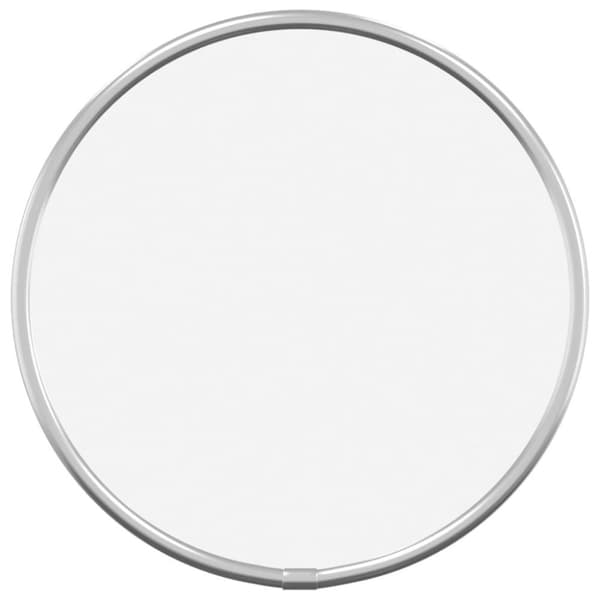vidaXL Väggspegel silver Ø 20 cm rund