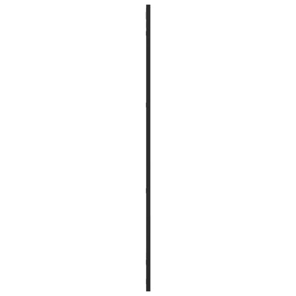vidaXL Veggspeil svart 50x100 cm rektangel jern