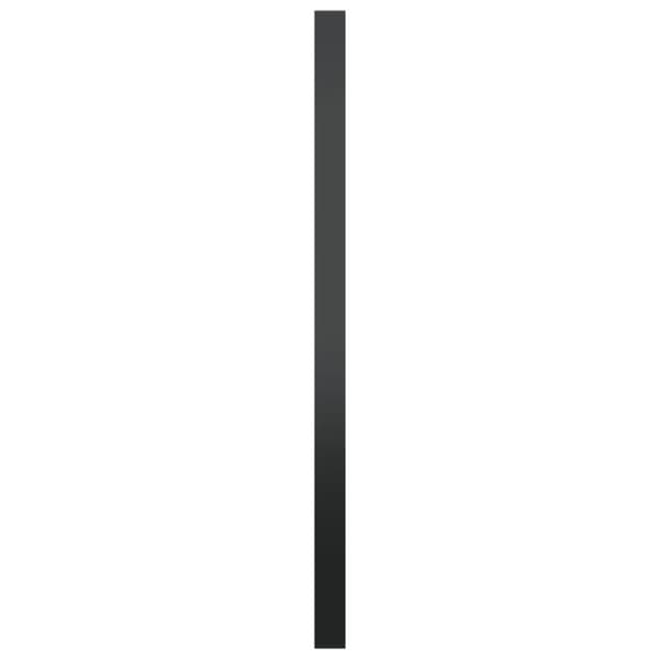 Väggspegel svart 60 cm