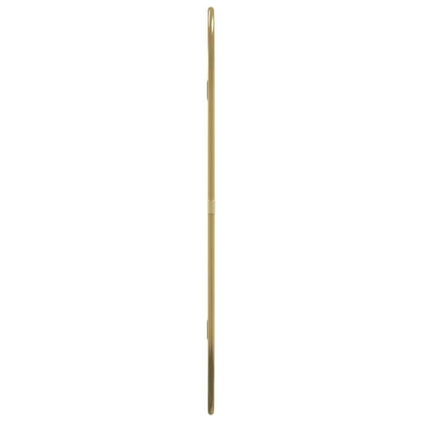 vidaXL vægspejl 50x35 cm guldfarvet -  Spejle