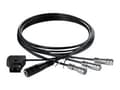 Pikkukuva 1 / 2: Blackmagic Design Pocket Camera DC Cable Pack, 0,65 m, Musta, Naaras