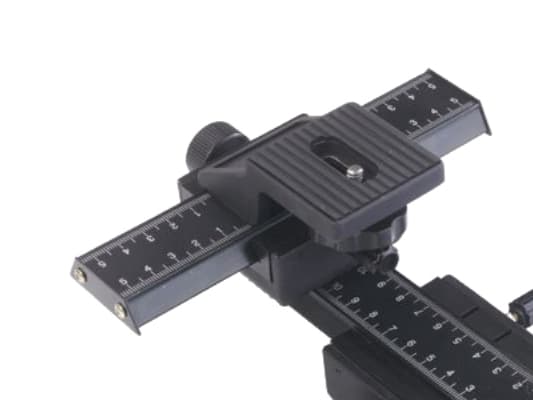 STOR. 423185, Sort