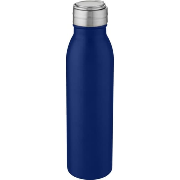 Bullet Stainless Steel 700ml Flask