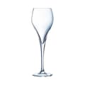 Miniatyrbild 1 av 4: Flöjt 16cl Brio Arcoroc - 6 glas
