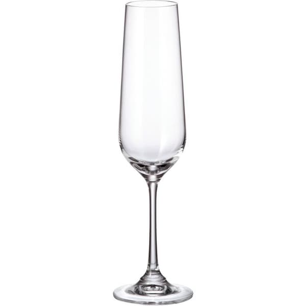Siguro Set med glas för mousserande vin Locus, 200 ml, 6 st