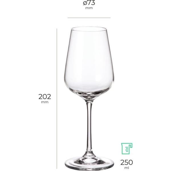 Siguro Set med glas för vitt vin Locus, 250 ml, 6 st