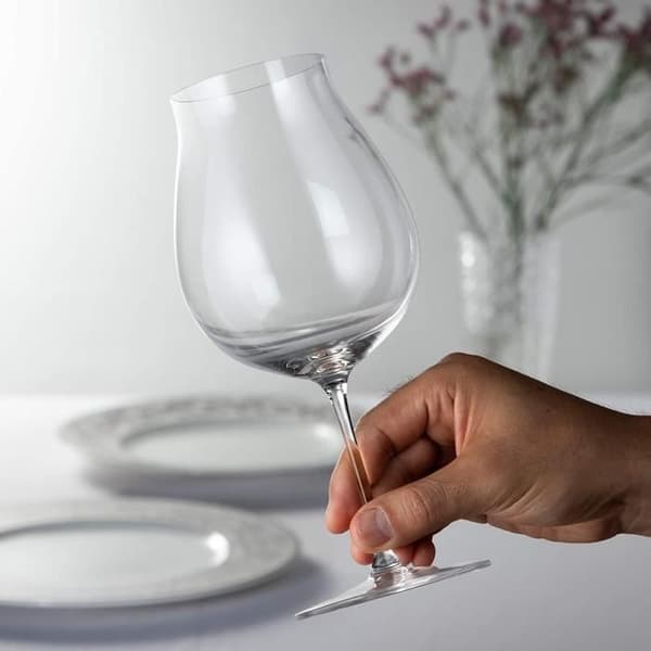 RIEDEL Celebration 6449/67 Veritas New World Pinot Noir 2 röda viner 790 ML - VVE-047