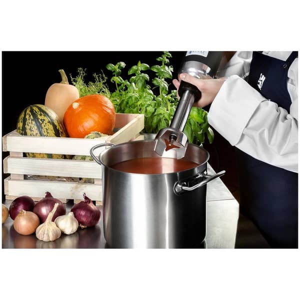 Royal Catering Stavmixer - 350 W - 250 mm - 16 000 r/min